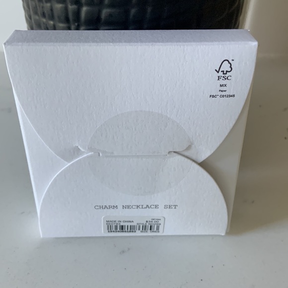 Brand New Madewell Charm Necklace - Picture 7 of 8